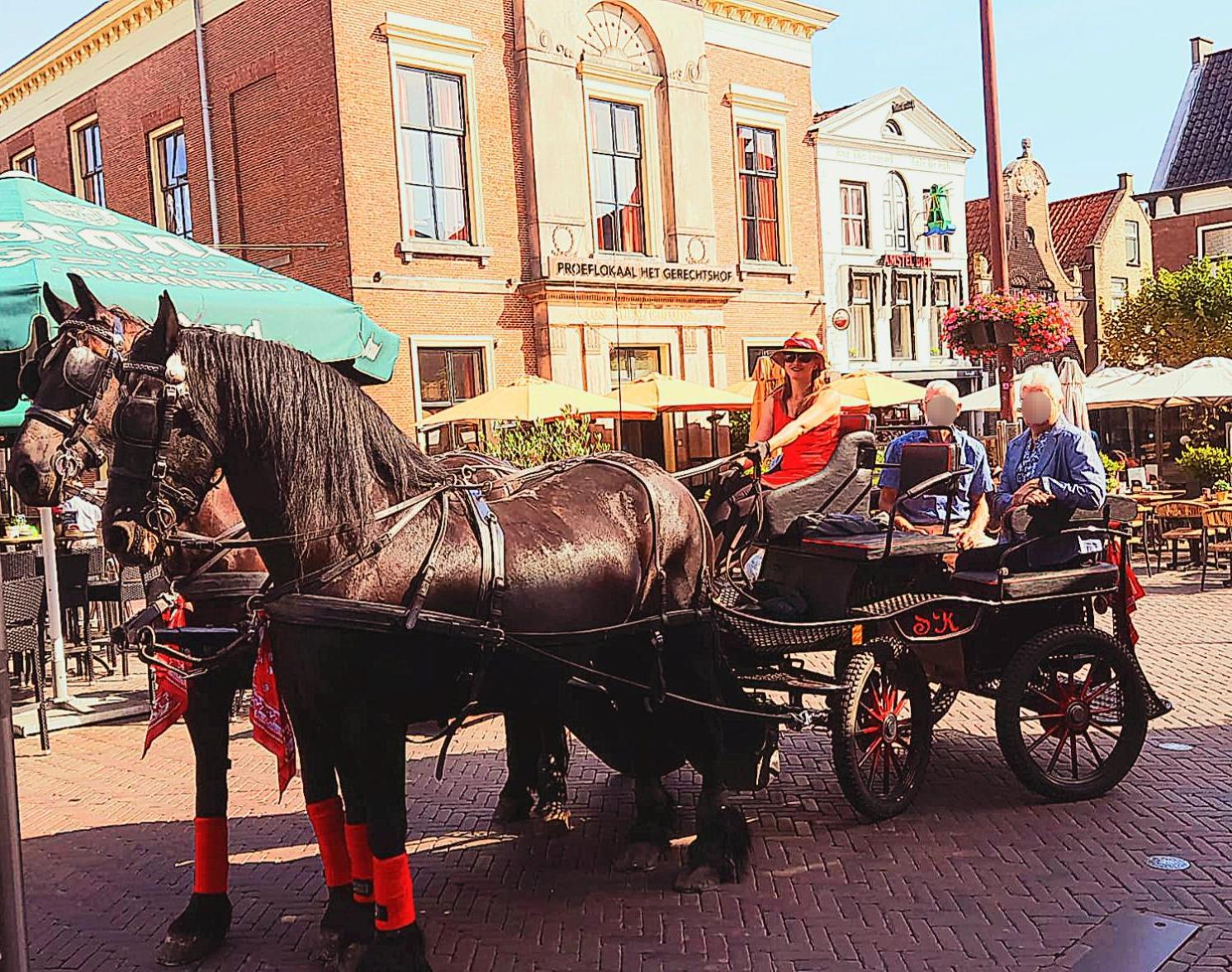 Stacaravan Op De Paardenboerderij スネーク エクステリア 写真